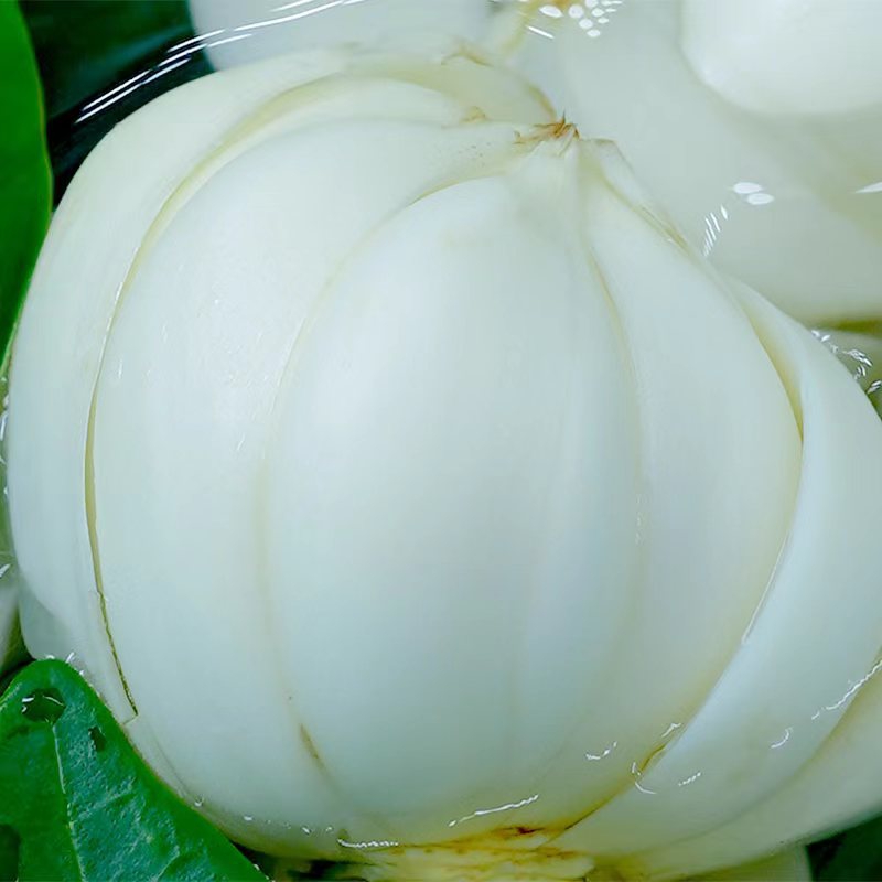 新鮮龍牙百合